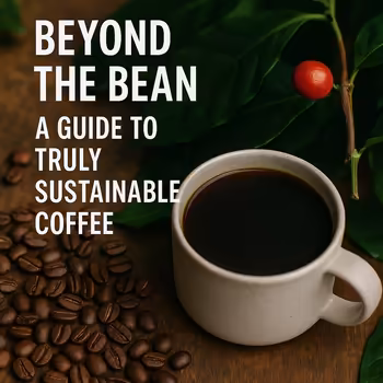 Beyond the Bean: A Guide to Truly Sustainable Coffee